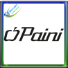 Paini