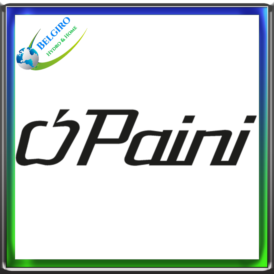 Paini